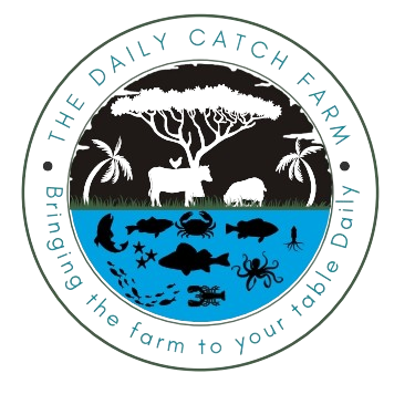 The Daily Catch Farm